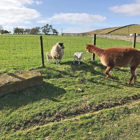 FalstoneFerny Rigg Byre - Uk3326别墅 外观 照片
